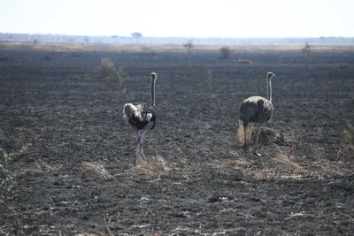 DSC_3420 (Large).JPG